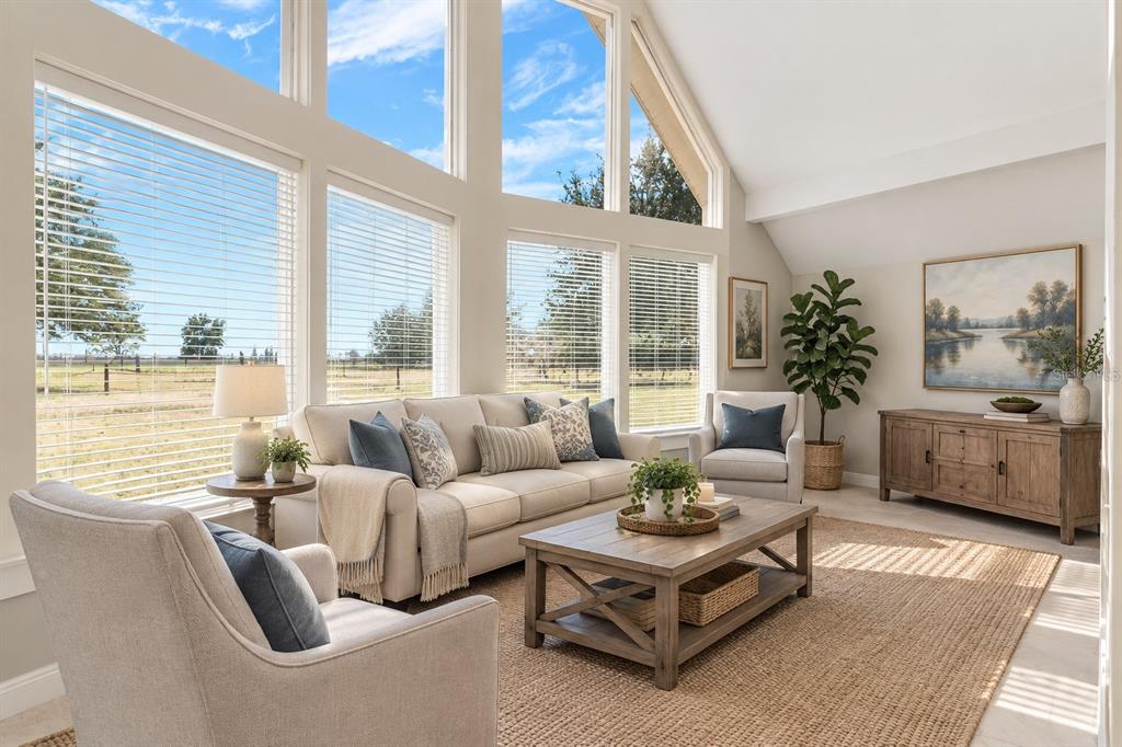 A sunlit room with vaulted ceilings, large windows, carpeted floors, and several bird cages — 16131 JOHNS LAKE ROAD, CLERMONT, FL