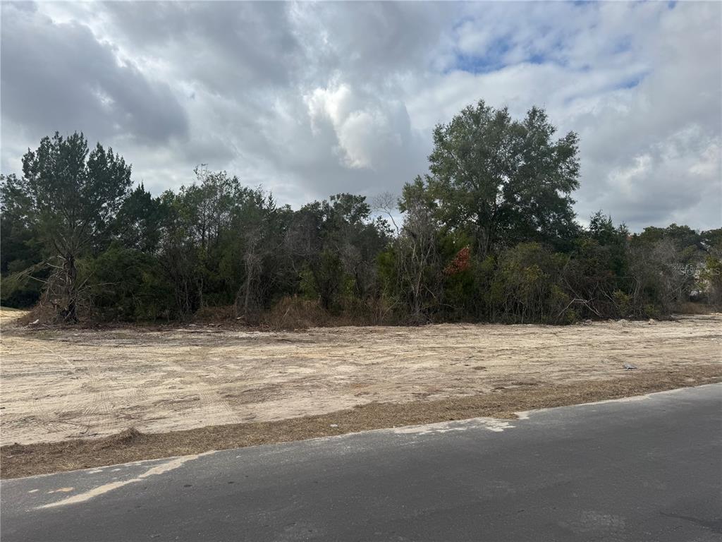 20412 US HWY 441, HIGH SPRINGS, FL — photo 3 of 10