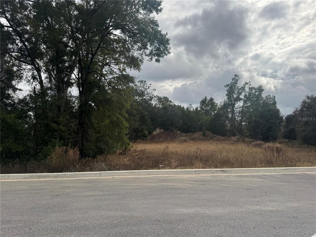 20412 US HWY 441, HIGH SPRINGS, FL — photo 4 of 10