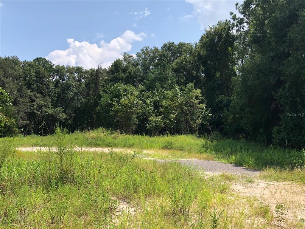 20412 US HWY 441, HIGH SPRINGS, FL — photo 5 of 10
