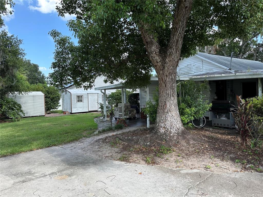 A large tree stands in the yard next to a house with a covered patio — 3430 5TH STREET, ST CLOUD, FL