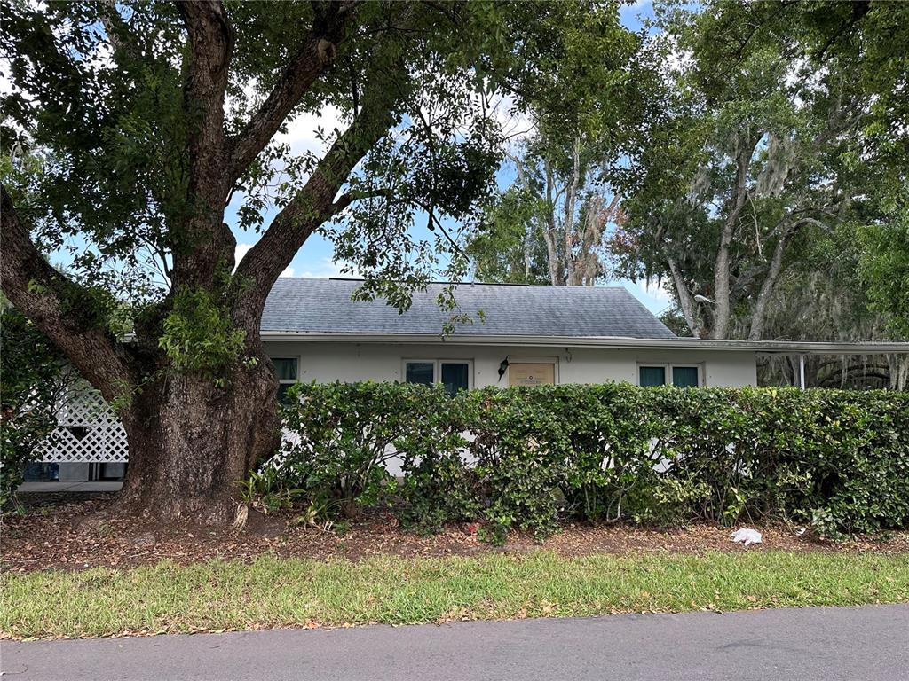 A single-story house with a large tree and a hedge in the front yard — 3430 5TH STREET, ST CLOUD, FL