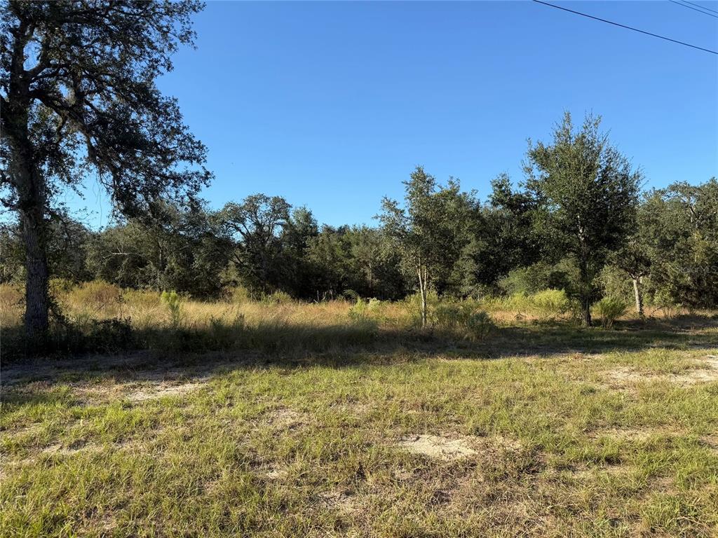 TBD NE 106TH TERRACE, BRONSON, FL — photo 2 of 5