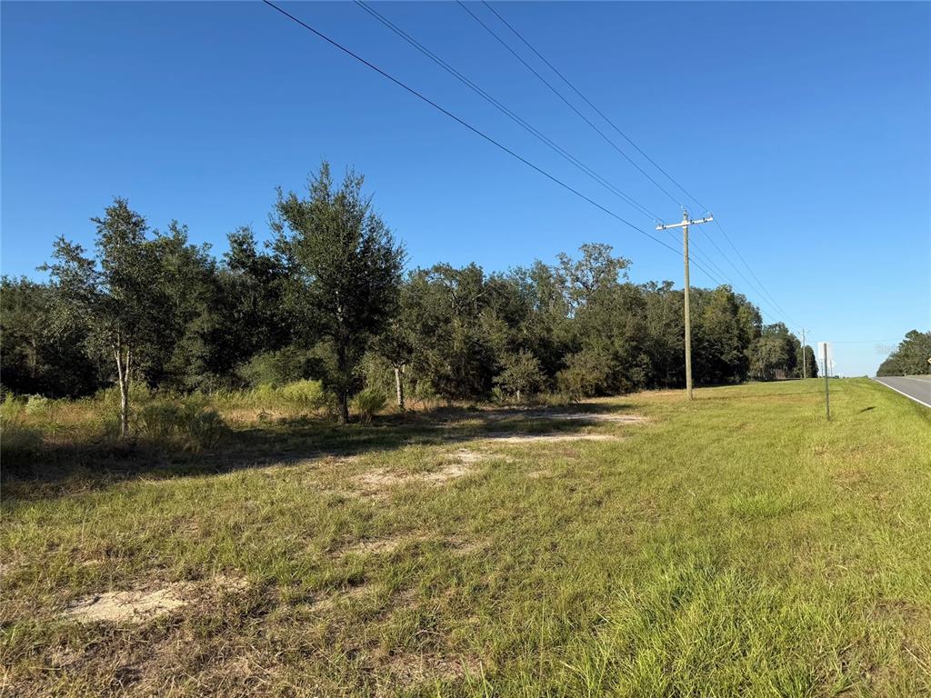 TBD NE 106TH TERRACE, BRONSON, FL — photo 3 of 5