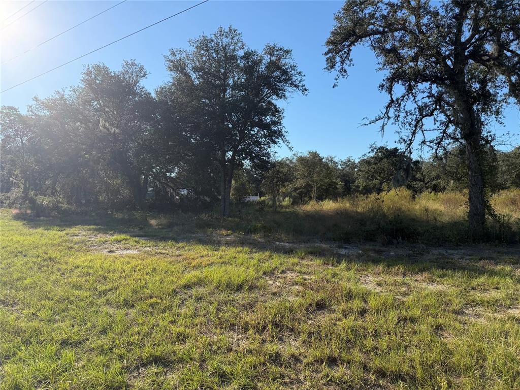 TBD NE 106TH TERRACE, BRONSON, FL — photo 4 of 5