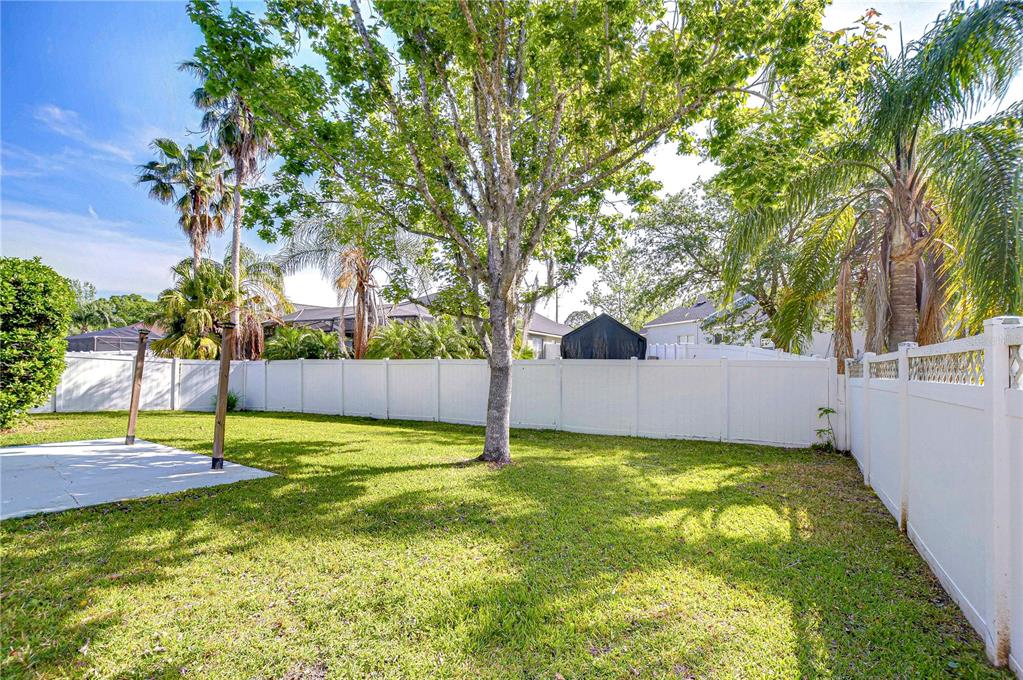 A grassy backyard features a large tree, a white vinyl fence, and a concrete patio — 6716 BLUFF MEADOW COURT, WESLEY CHAPEL, FL