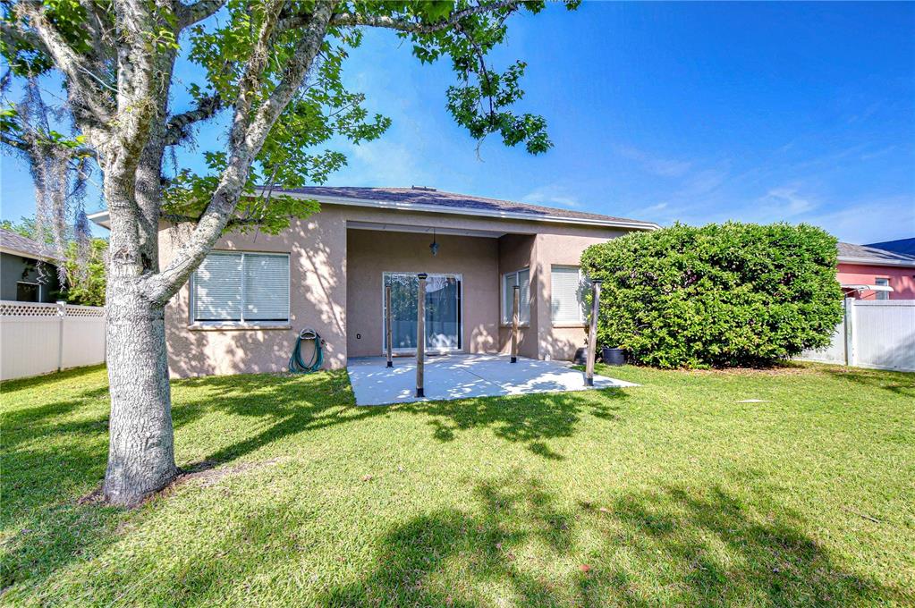 A backyard view of a house with a concrete patio, lawn, and large tree — 6716 BLUFF MEADOW COURT, WESLEY CHAPEL, FL