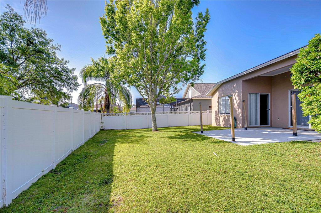 A grassy backyard features a white vinyl fence, a concrete patio, and a large tree — 6716 BLUFF MEADOW COURT, WESLEY CHAPEL, FL