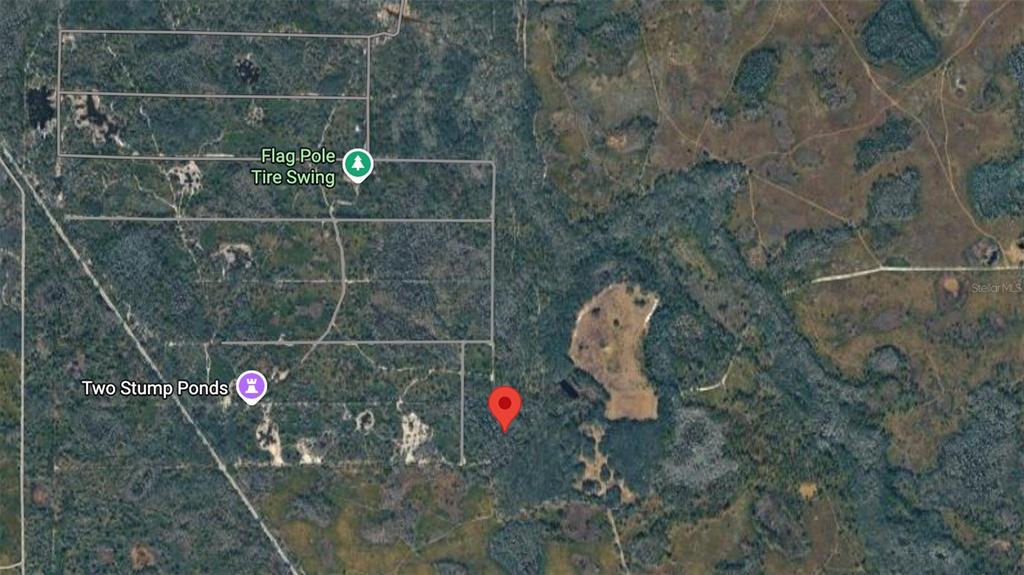 This is a satellite map view showing a red location pin in a wooded area — UNKNOWN, KATHLEEN, FL