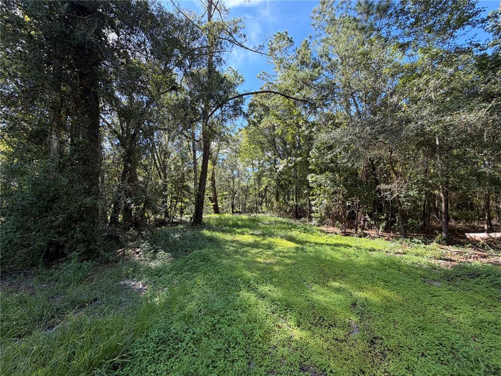 35436 REYNOLDS STREET, DADE CITY, FL — photo 2 of 2