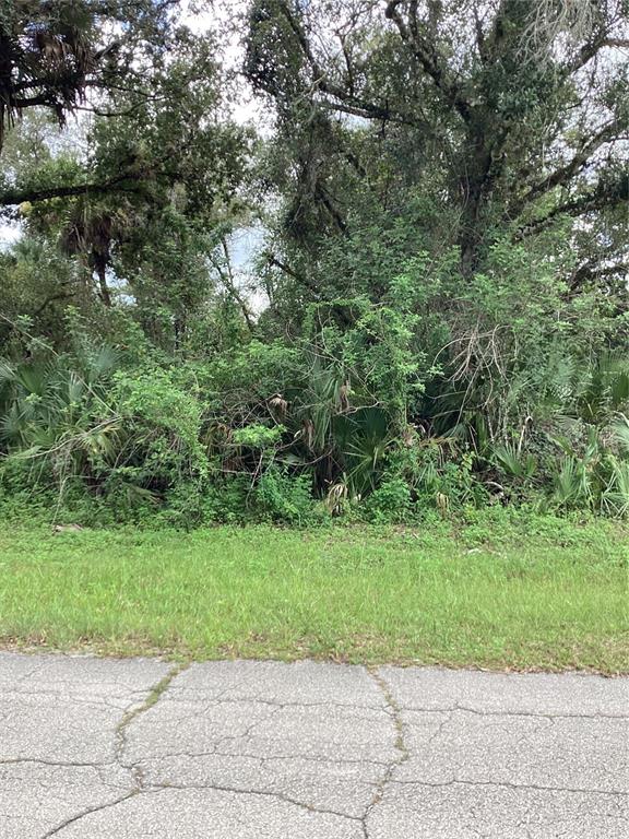 This is a satellite map view of a residential lot highlighted in red — MARCH LANE, LABELLE, FL