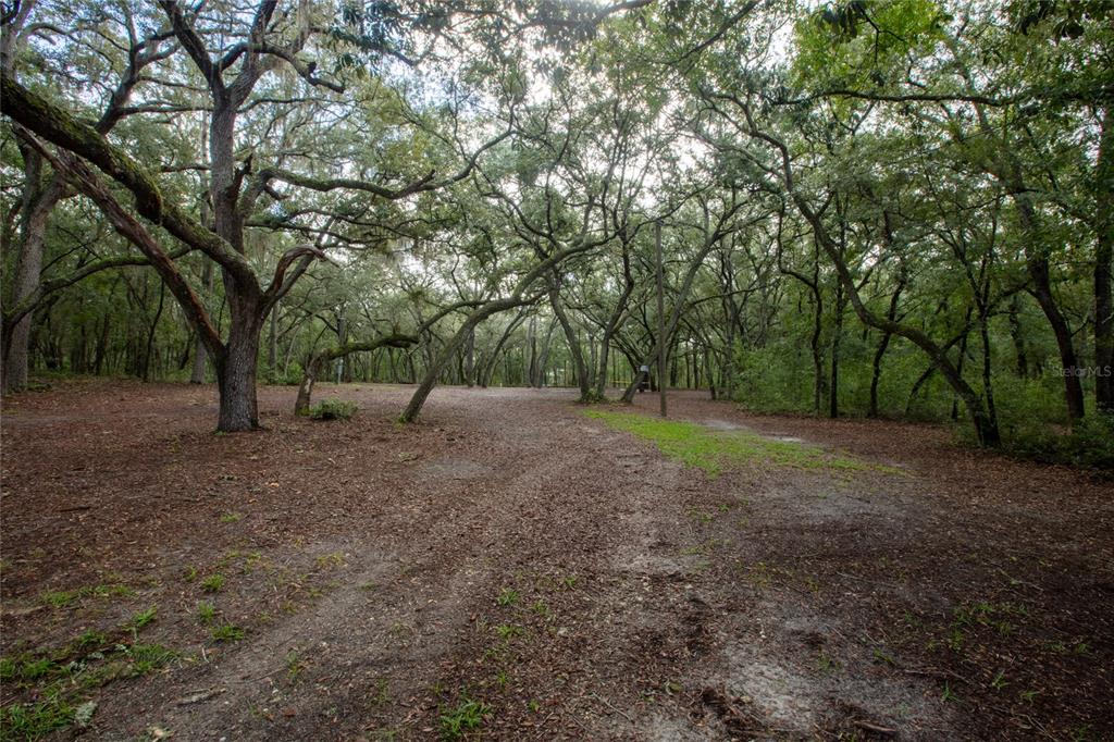 5590 JENKINS LOOP DRIVE, KEYSTONE HEIGHTS, FL — photo 2 of 20