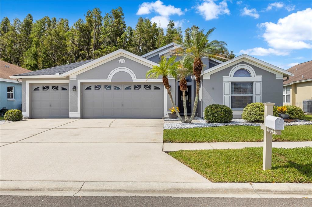 A gray single-story house with a three-car garage, palm trees, and a concrete driveway — 30923 IVERSON DRIVE, WESLEY CHAPEL, FL