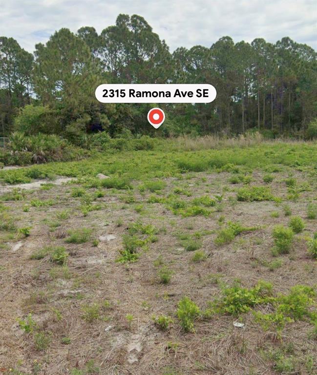 A vacant, grassy lot is bordered by a dense line of pine trees — 2315 RAMONA AVENUE SE, PALM BAY, FL