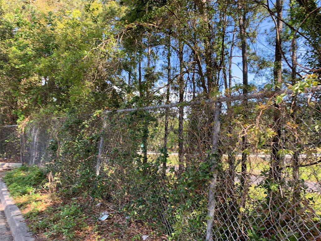 A chain-link fence runs along a sidewalk in front of a wooded area — NORMANDY BOULEVARD, JACKSONVILLE, FL