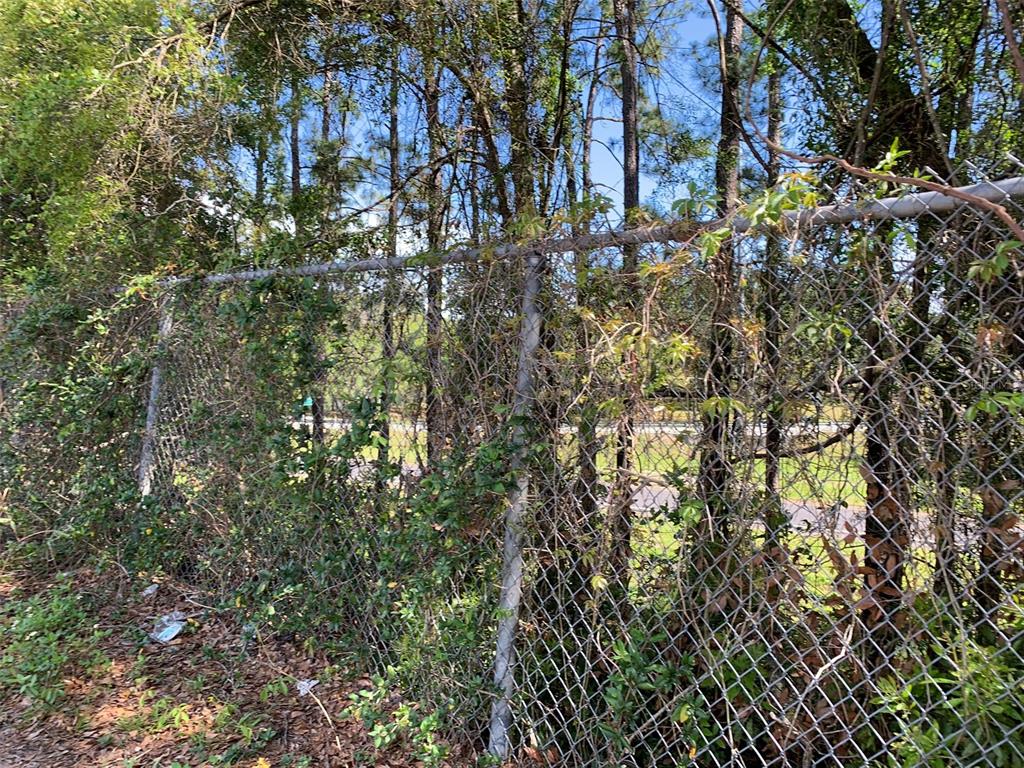 A chain-link fence covered in vines stands in front of a wooded area — NORMANDY BOULEVARD, JACKSONVILLE, FL