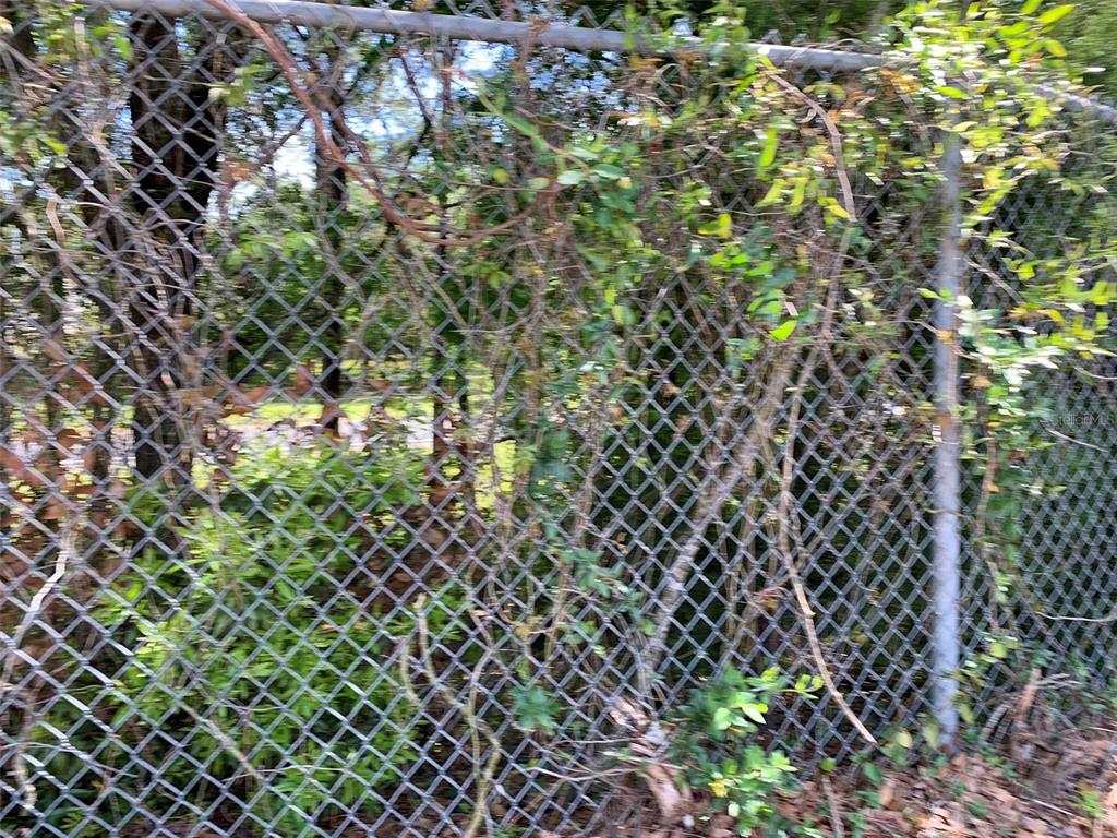 A chain-link fence is partially covered by climbing vines and foliage in a wooded area — NORMANDY BOULEVARD, JACKSONVILLE, FL