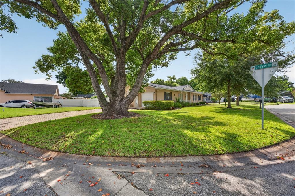 A single-story house with a large tree in the front yard at a street corner — 2641 CARVELL COURT, WINTER PARK, FL
