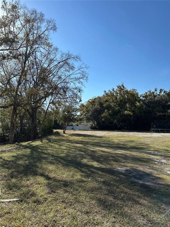 A grassy, open lot features mature trees and a trampoline on a sunny day — SUNRISE DRIVE, LUTZ, FL