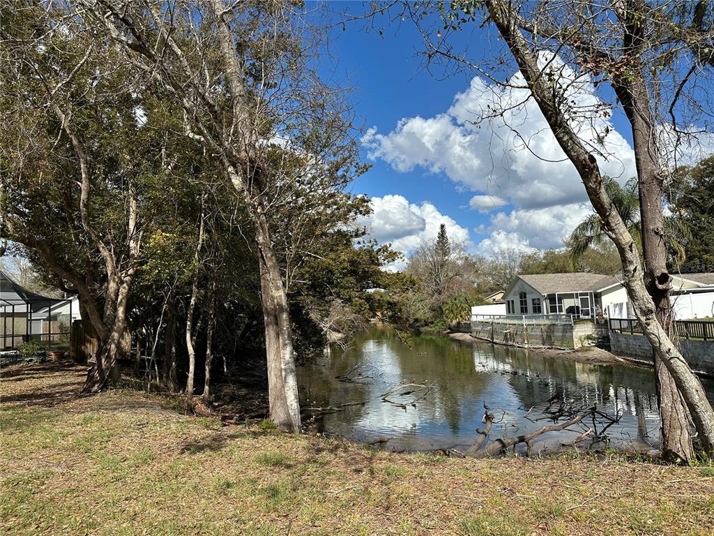 A view of a narrow canal bordered by trees and residential homes — SUNRISE DRIVE, LUTZ, FL