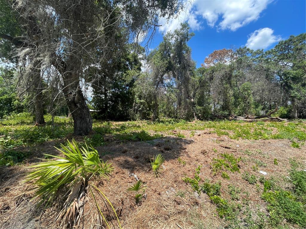 A wooded, undeveloped lot with scattered vegetation and a large tree in the foreground — COUNTY ROAD 42, UMATILLA, FL