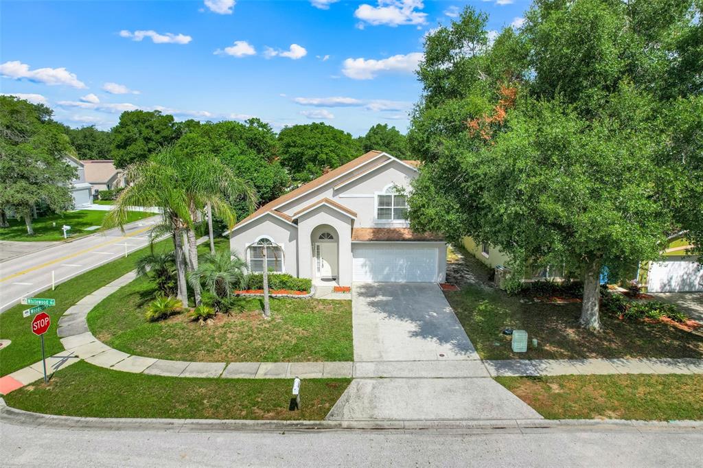A single-story suburban house with a concrete driveway, palm trees, and a grassy front yard — 1324 WHITEWOOD WAY WAY, CLERMONT, FL