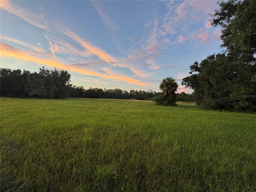 A grassy field is surrounded by trees under a sunset sky — 12200 SW ACADEMY DRIVE, ARCADIA, FL
