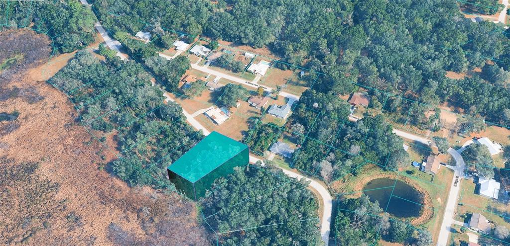 4704 S RAINBOW DRIVE, INVERNESS, FL — photo 3 of 4