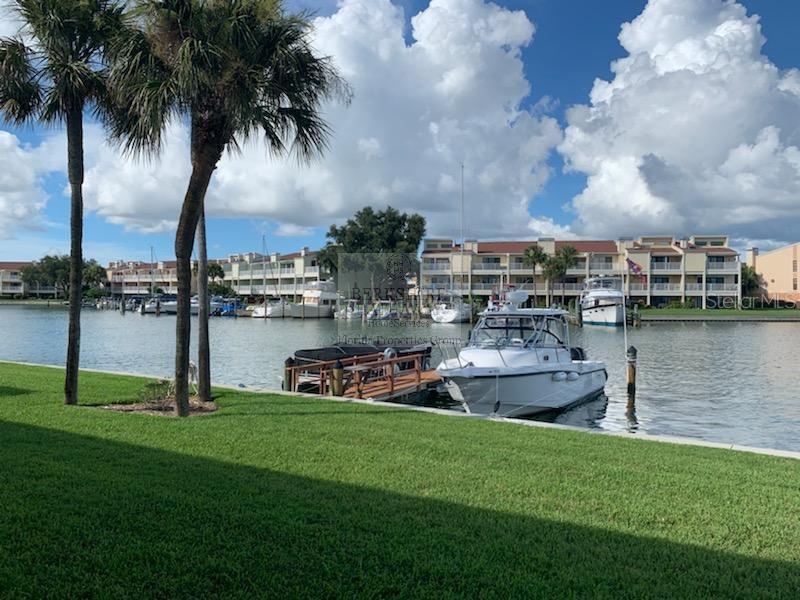 A fenced swimming pool sits behind a grassy lawn with palm trees and a canal — 507 PLAZA SEVILLE COURT UNIT 15, ST PETERSBURG, FL