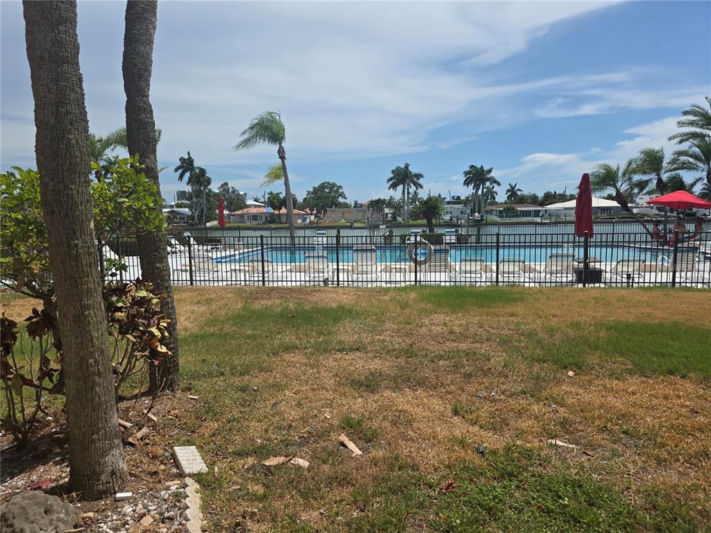 A fenced swimming pool sits behind a grassy lawn with palm trees and a canal — 507 PLAZA SEVILLE COURT UNIT 15, ST PETERSBURG, FL
