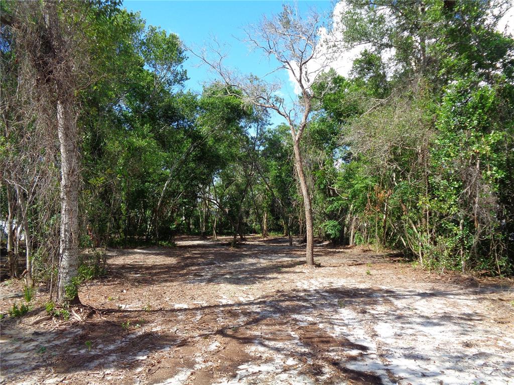 8007 CHAUCER DRIVE, WEEKI WACHEE, FL — photo 2 of 15