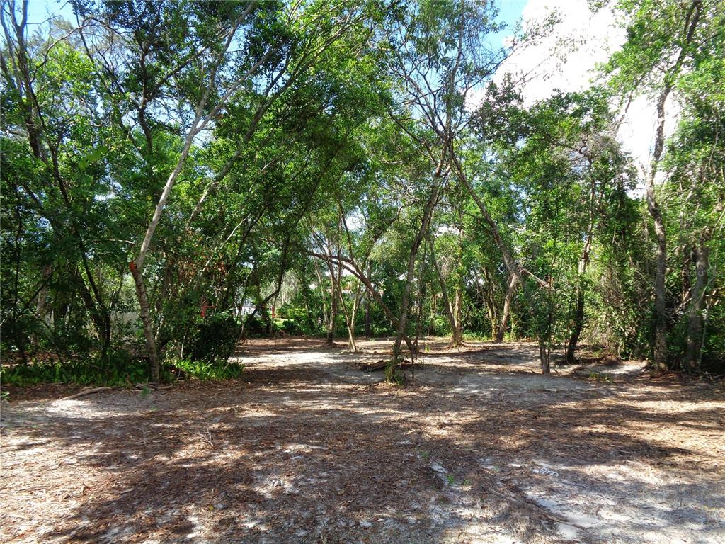 8007 CHAUCER DRIVE, WEEKI WACHEE, FL — photo 3 of 15