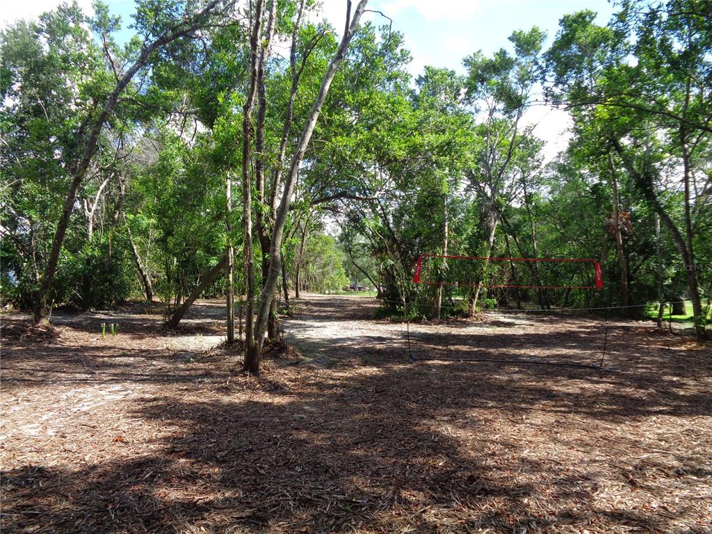 8007 CHAUCER DRIVE, WEEKI WACHEE, FL — photo 4 of 15