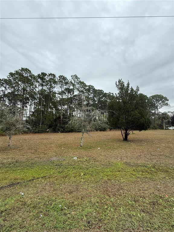 245 ULLIAN TRAIL
