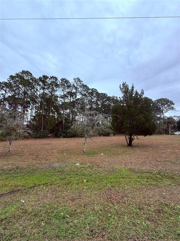 A grassy, partially wooded vacant lot under a cloudy sky — 245 ULLIAN TRAIL, PALM COAST, FL