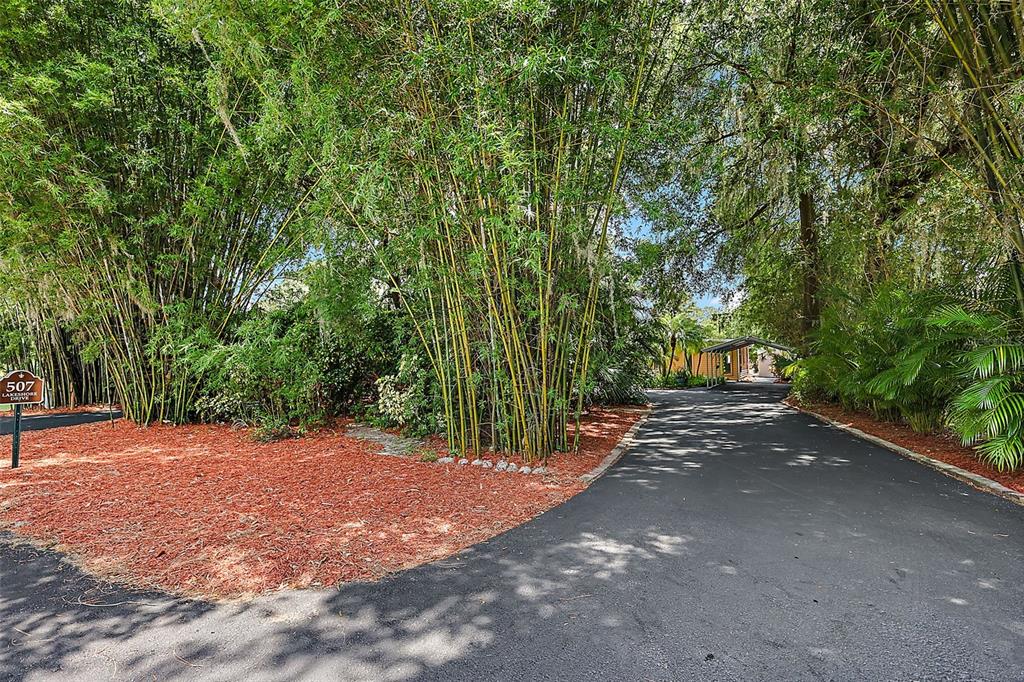 A paved driveway leads toward a house obscured by tall bamboo and mature trees — 507 LAKESHORE DRIVE, EUSTIS, FL