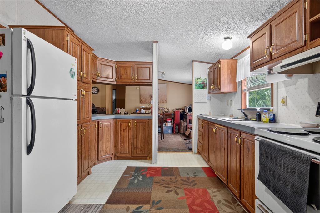 1501 PASADENA DRIVE, SEFFNER, FL — photo 4 of 30