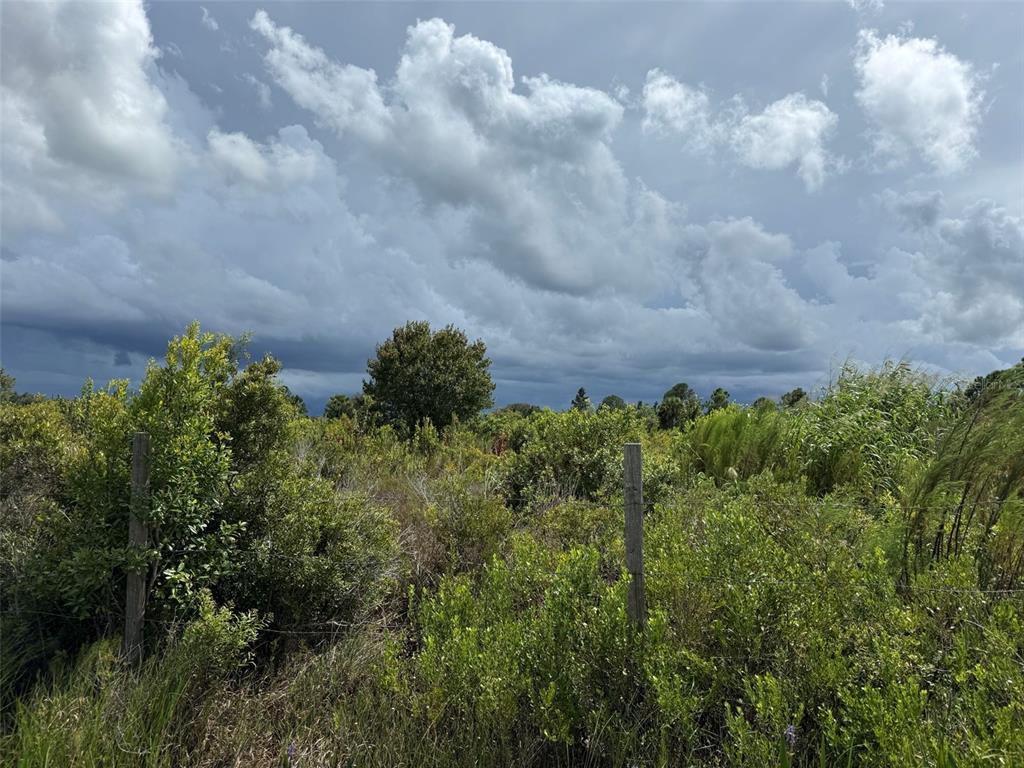 18076 NW 276TH STREET, OKEECHOBEE, FL — photo 4 of 6
