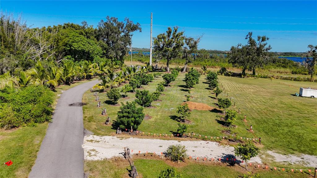 An aerial view of a rural property featuring a paved driveway, fruit trees, and grass — 21552 E STATE ROAD 64, BRADENTON, FL