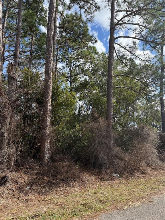 TBD SE 190th AVENUE, SILVER SPRINGS, FL — photo 2 of 6