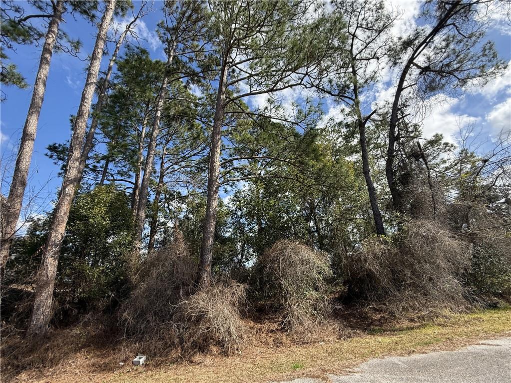 TBD SE 190th AVENUE, SILVER SPRINGS, FL — photo 3 of 6
