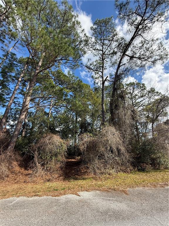 TBD SE 190th AVENUE, SILVER SPRINGS, FL — photo 4 of 6
