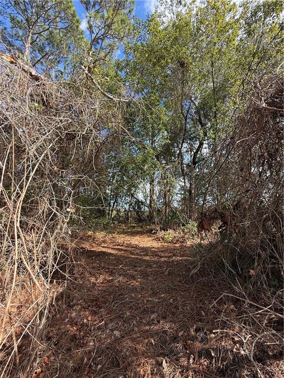 TBD SE 190th AVENUE, SILVER SPRINGS, FL — photo 5 of 6