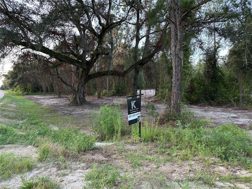 A vacant, wooded lot features a real estate sign in the foreground — CR 49, LIVE OAK, FL