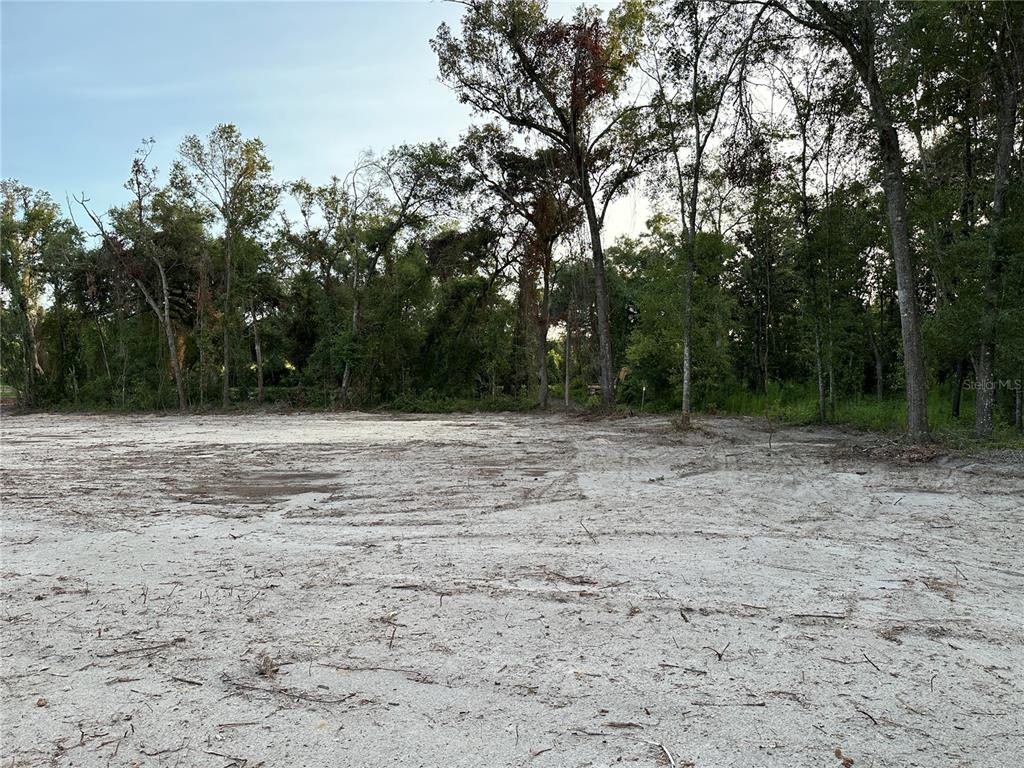 A cleared, sandy lot is bordered by a dense line of mature trees — CR 49, LIVE OAK, FL