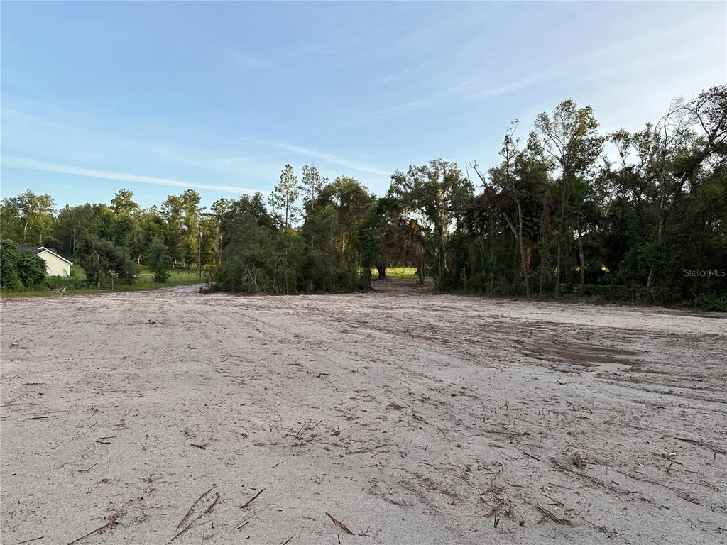 A wide, cleared sandy lot is bordered by dense trees under a clear blue sky — CR 49, LIVE OAK, FL