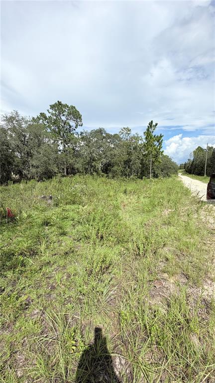 TBD NE 65TH STREET, WILLISTON, FL — photo 2 of 10