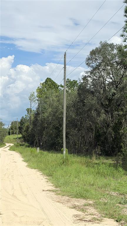 TBD NE 65TH STREET, WILLISTON, FL — photo 3 of 10