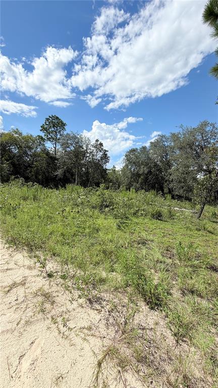 TBD NE 65TH STREET, WILLISTON, FL — photo 5 of 10