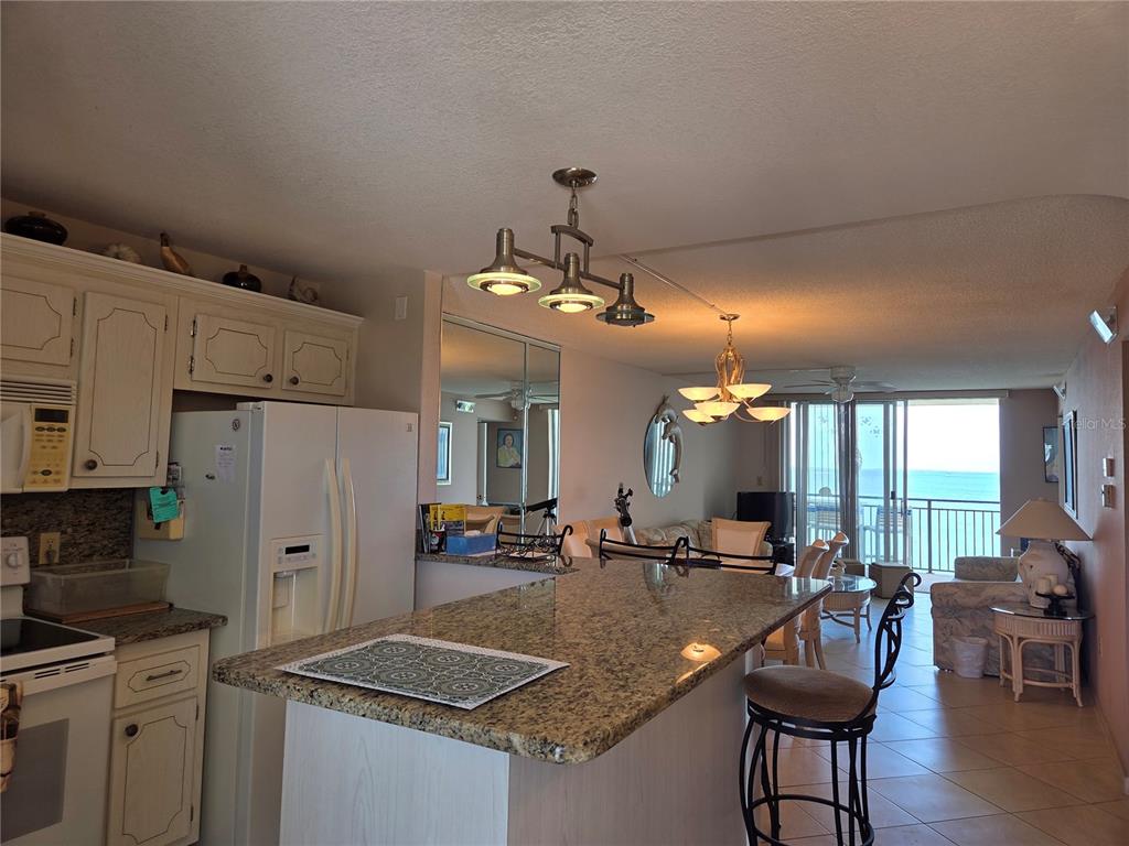 A kitchen with granite countertops and a breakfast bar overlooks a living area with ocean views — 9 HAIG PLACE UNIT 405, DUNEDIN, FL
